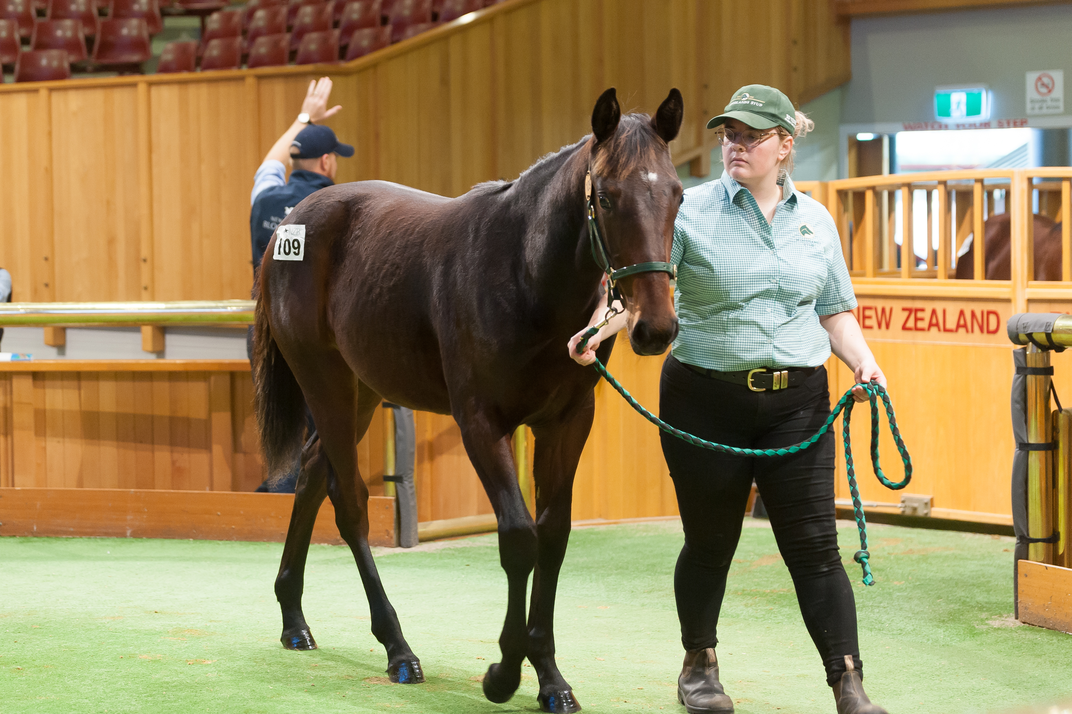Lot 109